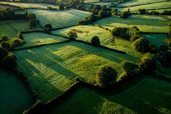 bocage-normand-2__