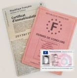 permis-carte-grise__